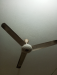 সিলিং ফ্যান (Used)